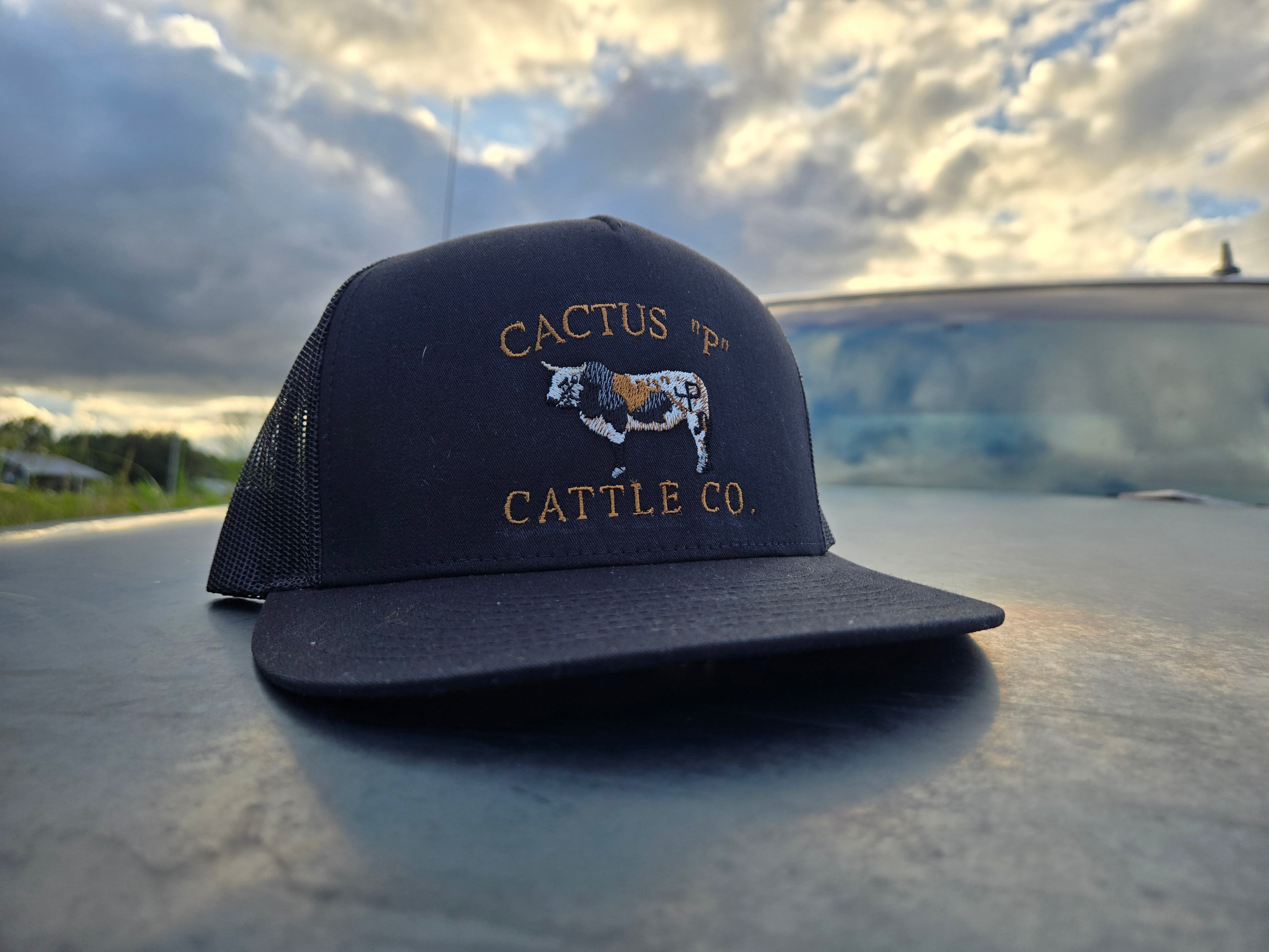 CATTLE CO.