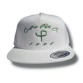 The Cactus "P"